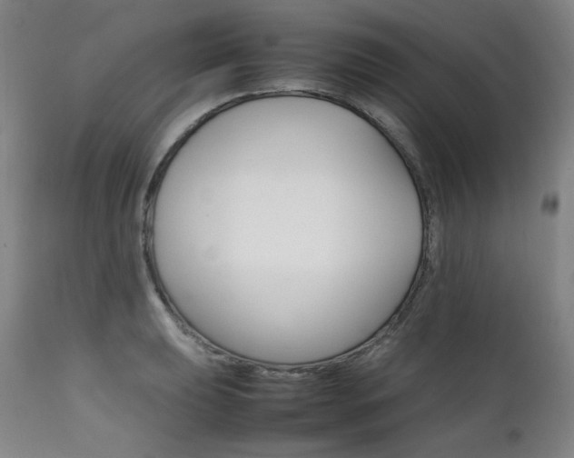 X0000111231039200907021354