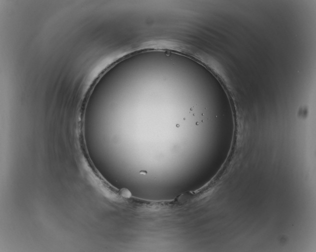 X0000111231040200907021354