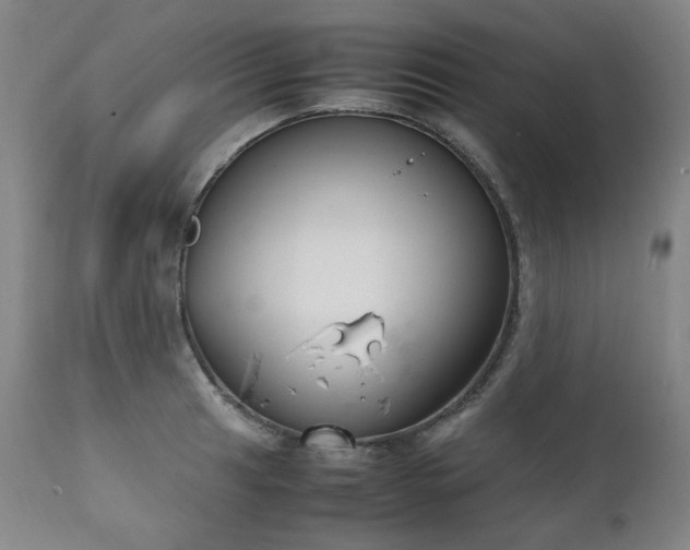 X0000111231041200907021354