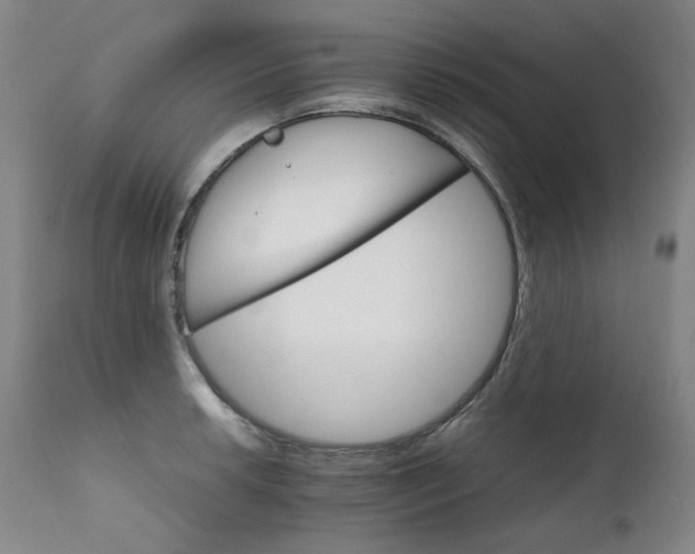 X0000111231042200907021354