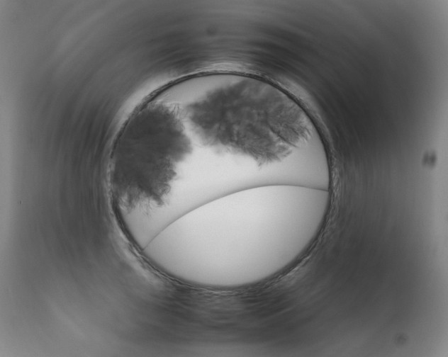 X0000111231043200907021354