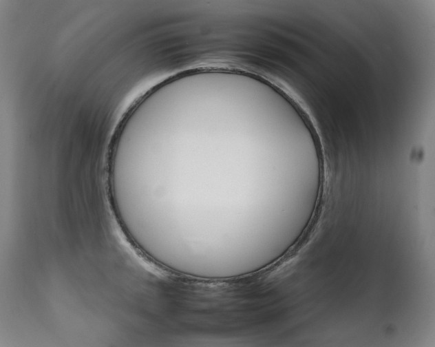 X0000111231045200907021354