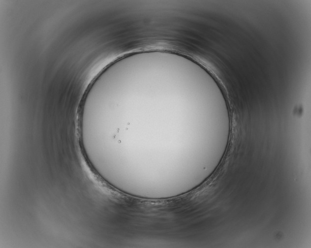 X0000111231047200907021354
