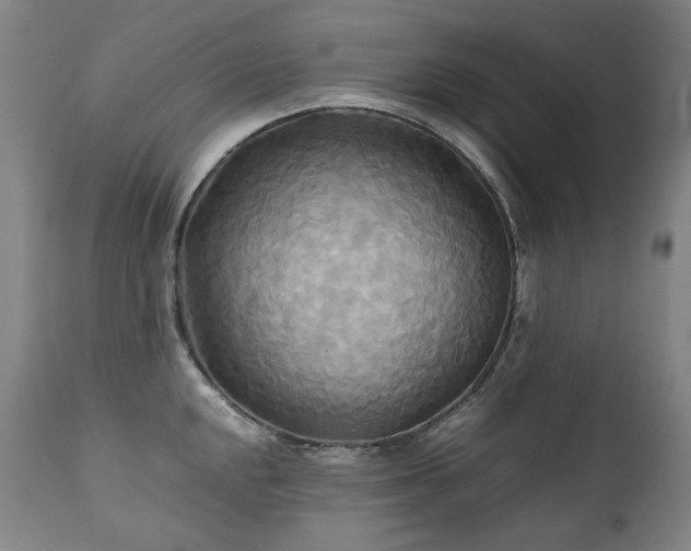 X0000111231048200907021354