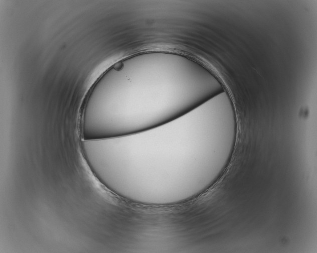 X0000111231050200907021354