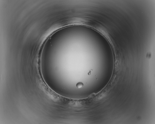 X0000111231051200907021354