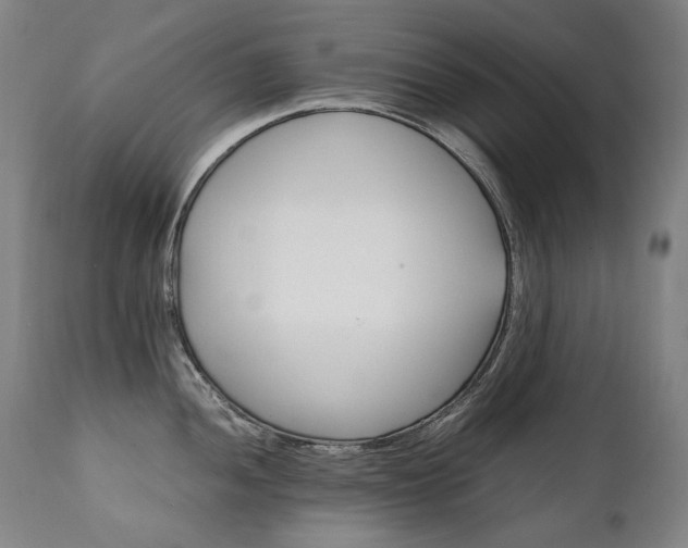X0000111231052200907021354