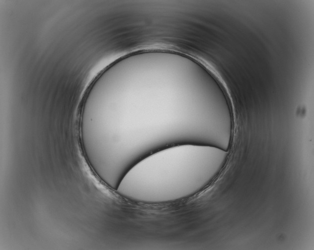 X0000111231053200907021354