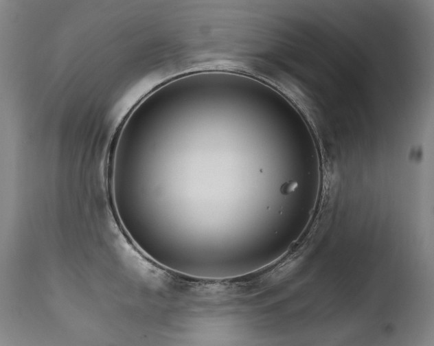 X0000111231054200907021354