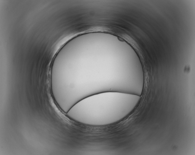 X0000111231055200907021354