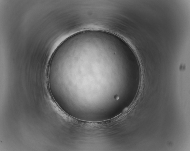 X0000111231056200907021354
