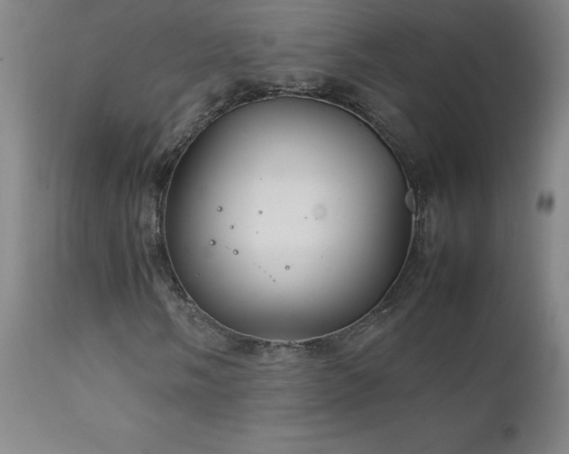 X0000111231058200907021353