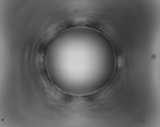 X0000111231059200907021353