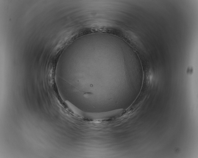 X0000111231060200907021353