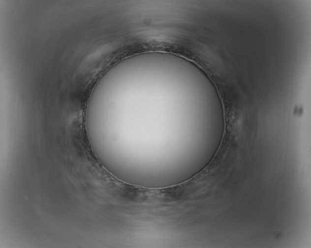 X0000111231061200907021353