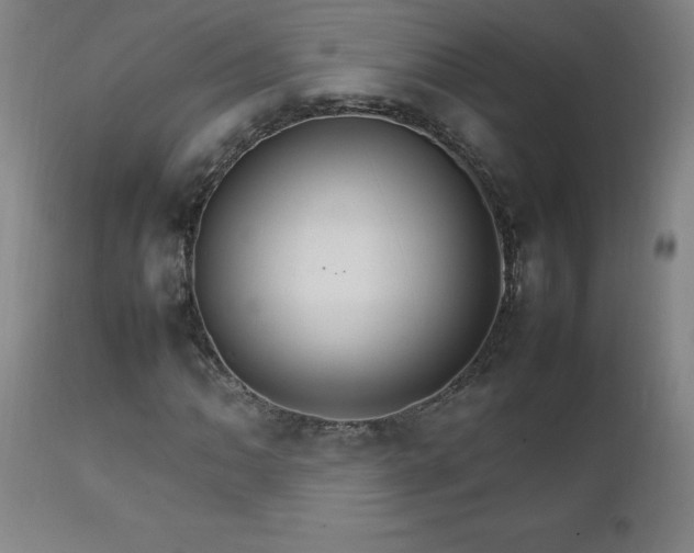 X0000111231062200907021353