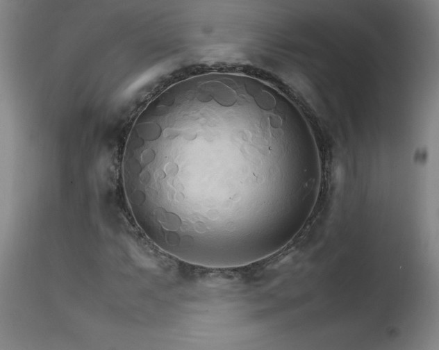 X0000111231063200907021353