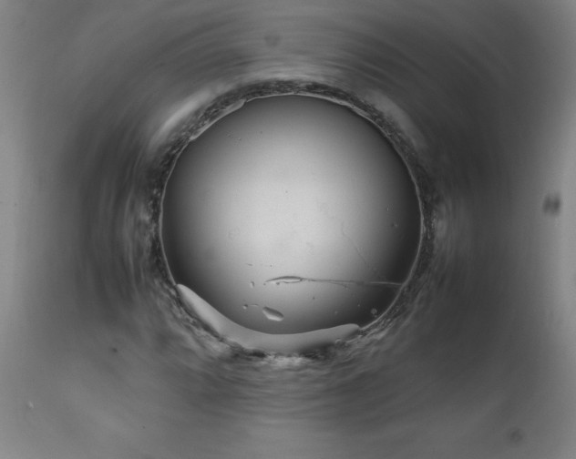 X0000111231064200907021353