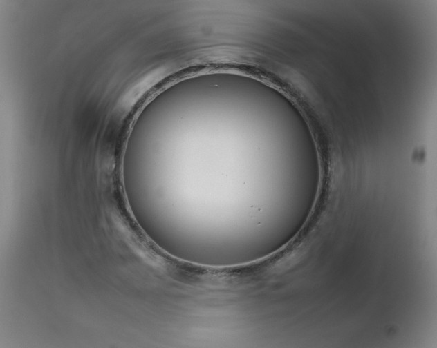 X0000111231065200907021353