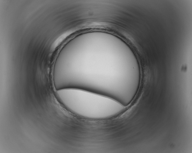 X0000111231066200907021353