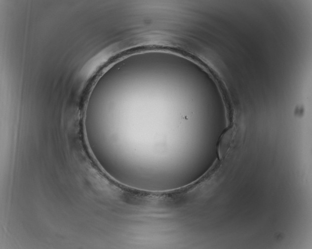 X0000111231067200907021353