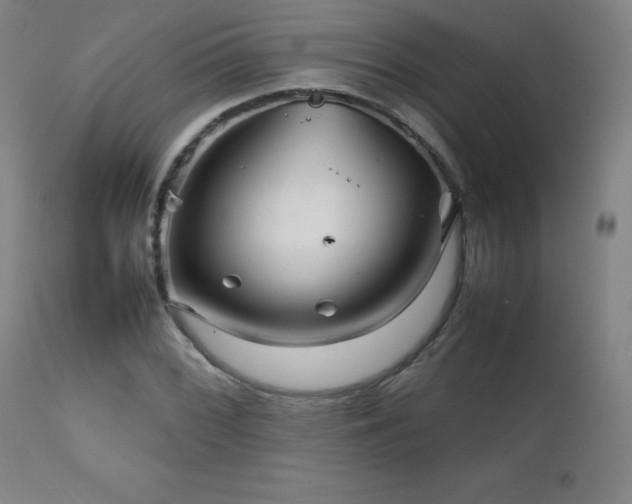X0000111231068200907021353