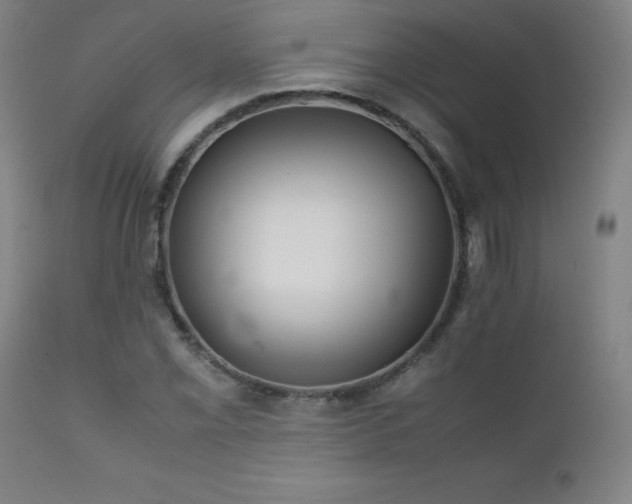 X0000111231069200907021353