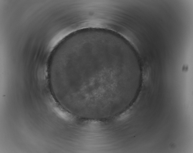 X0000111231070200907021353