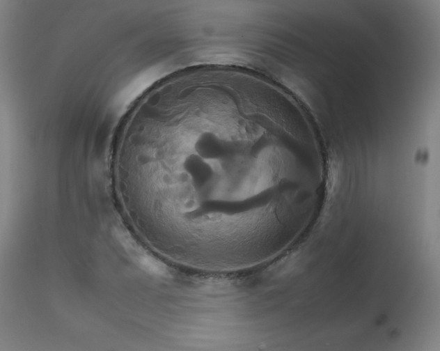 X0000111231071200907021353