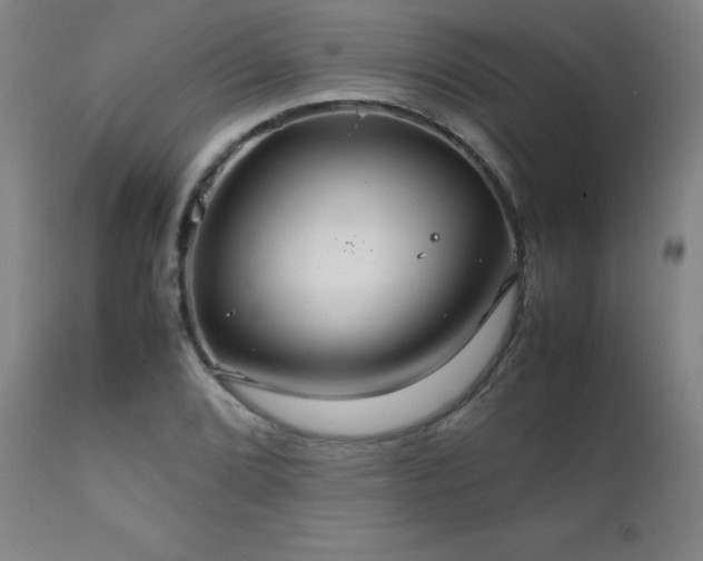 X0000111231072200907021353