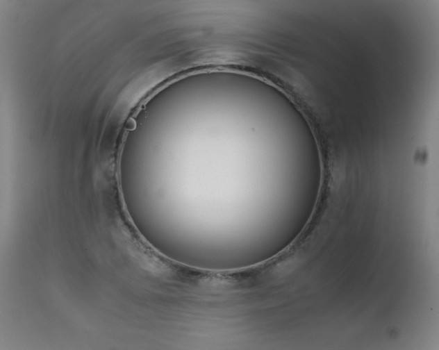 X0000111231073200907021353