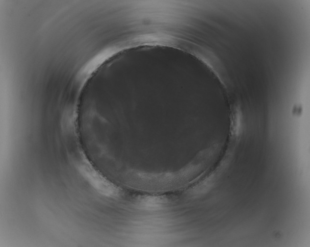 X0000111231074200907021353