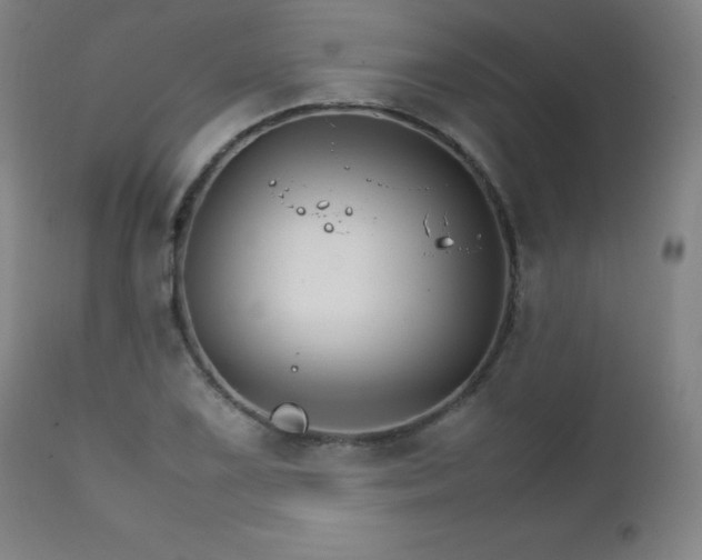 X0000111231075200907021353