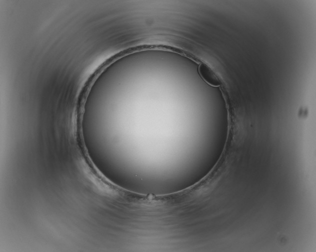 X0000111231076200907021353