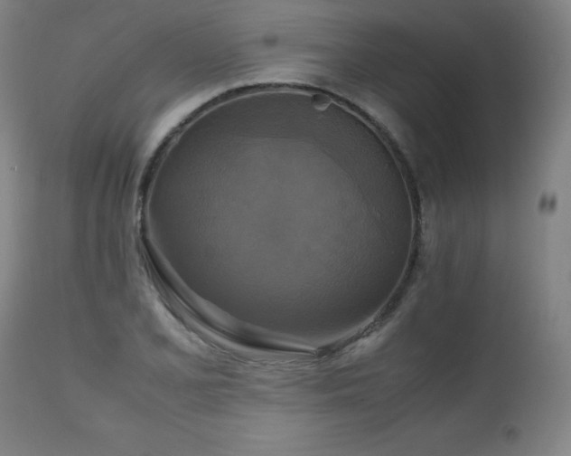 X0000111231077200907021353