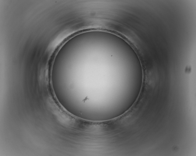 X0000111231078200907021353