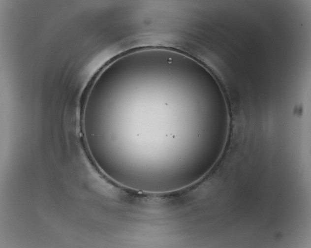 X0000111231079200907021353