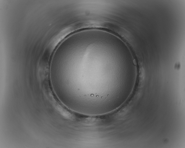 X0000111231081200907021353