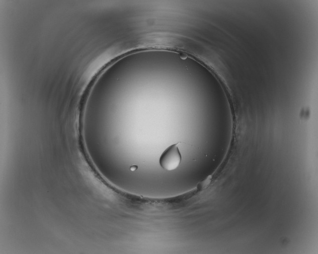 X0000111231083200907021353