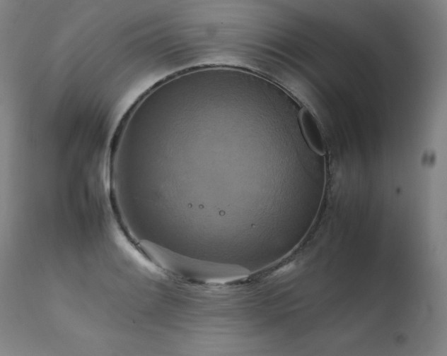 X0000111231084200907021353