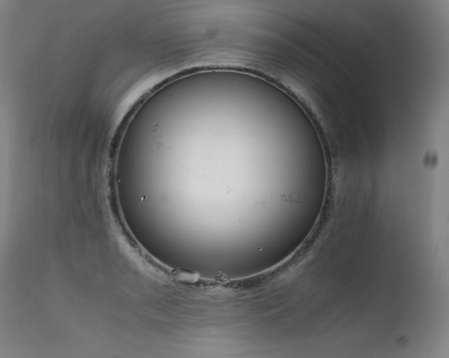 X0000111231085200907021353