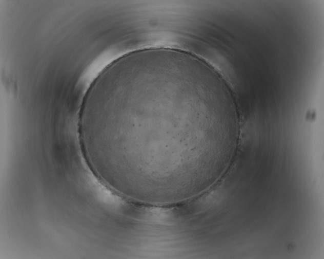 X0000111231086200907021353