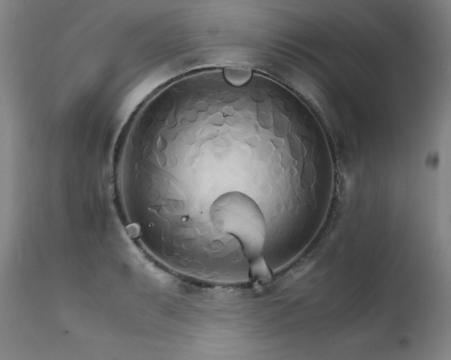 X0000111231087200907021353