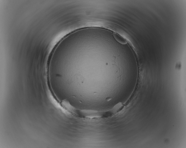 X0000111231088200907021353