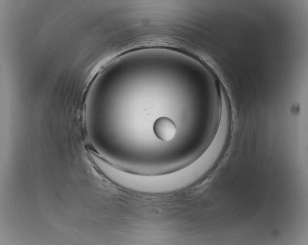 X0000111231089200907021353