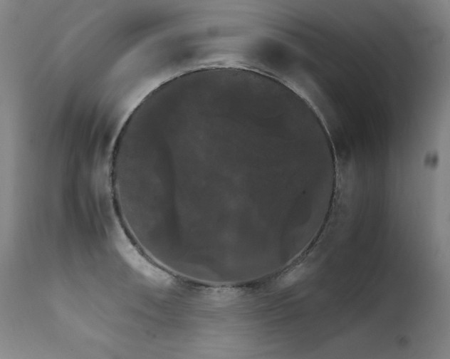 X0000111231090200907021353