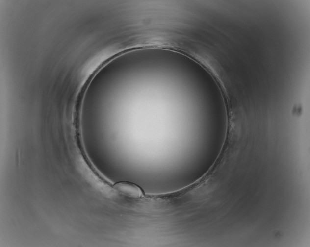 X0000111231091200907021353