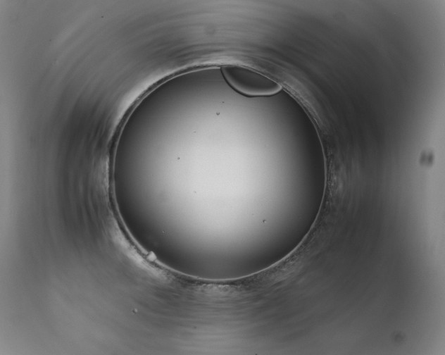X0000111231092200907021353