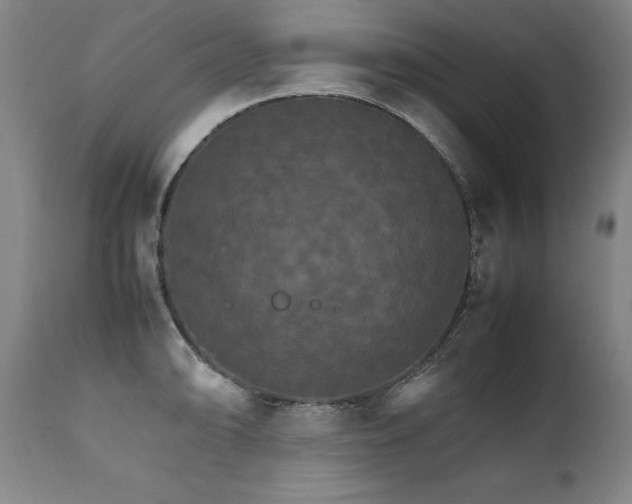 X0000111231094200907021353