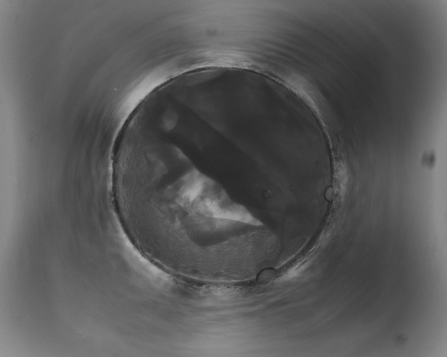 X0000111231095200907021353